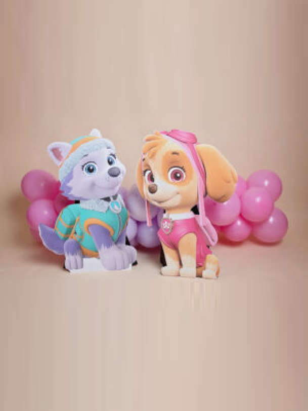Paw Patrol Cut-Outs